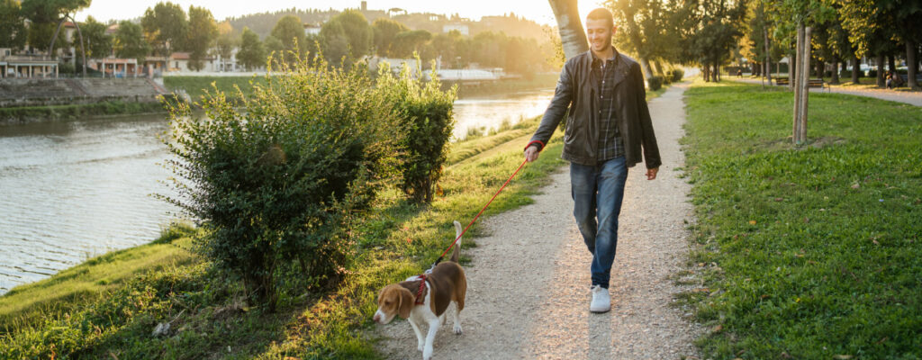7 Simple Ways To Stay Active