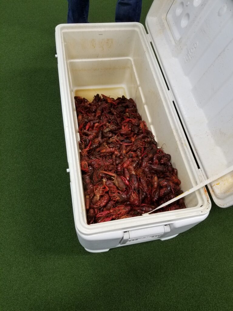 Community