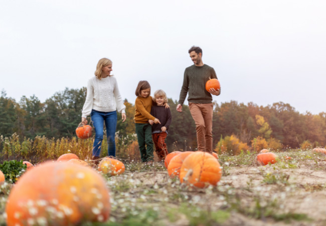 Get Your Health Back On Track With Physical Therapy – Malvern